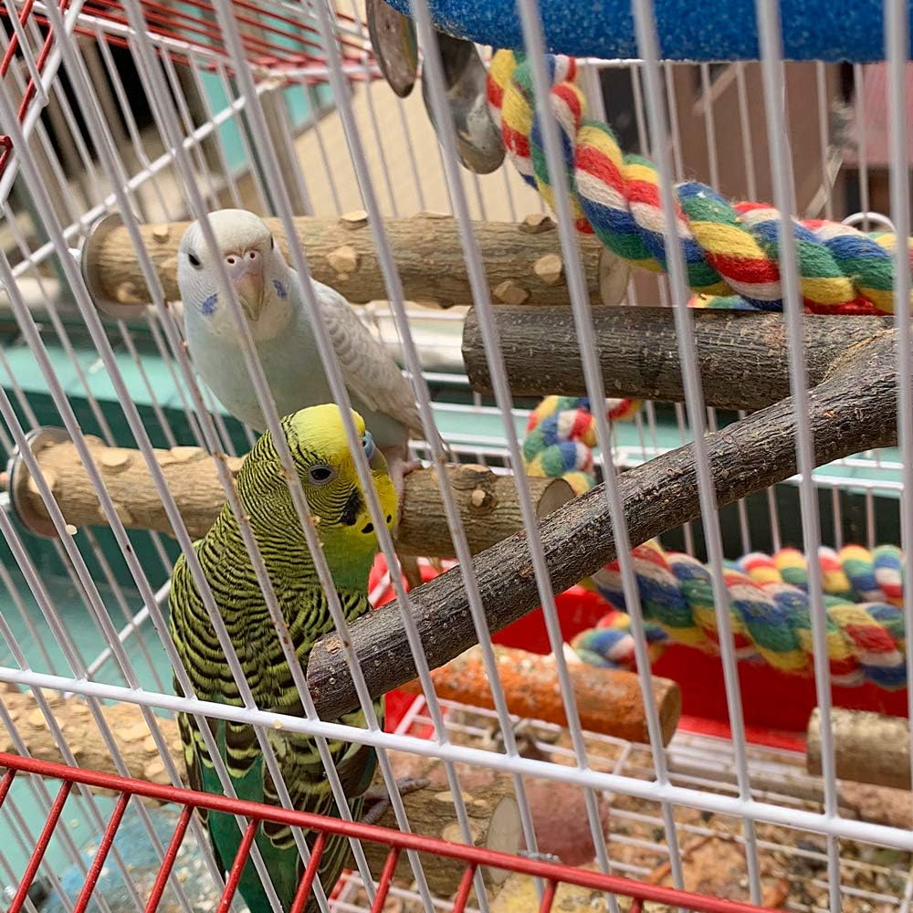 4-Pack Natural Wood Bird Cage Perch Stand Set - 8 Inch