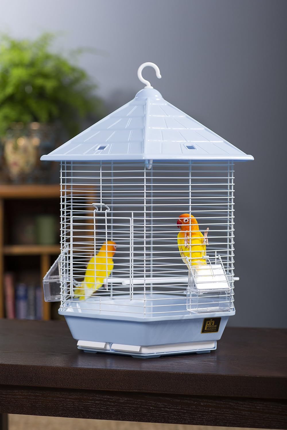 Bird Cages & Stands