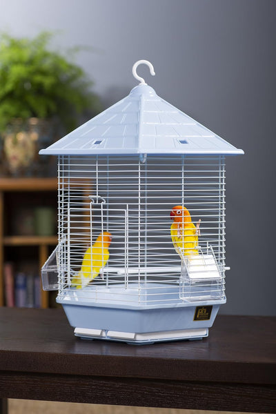 A light blue plastic bird cage with white wire bars, featuring two small yellow birds perched inside, set on a dark wooden table against a blurred gray background.